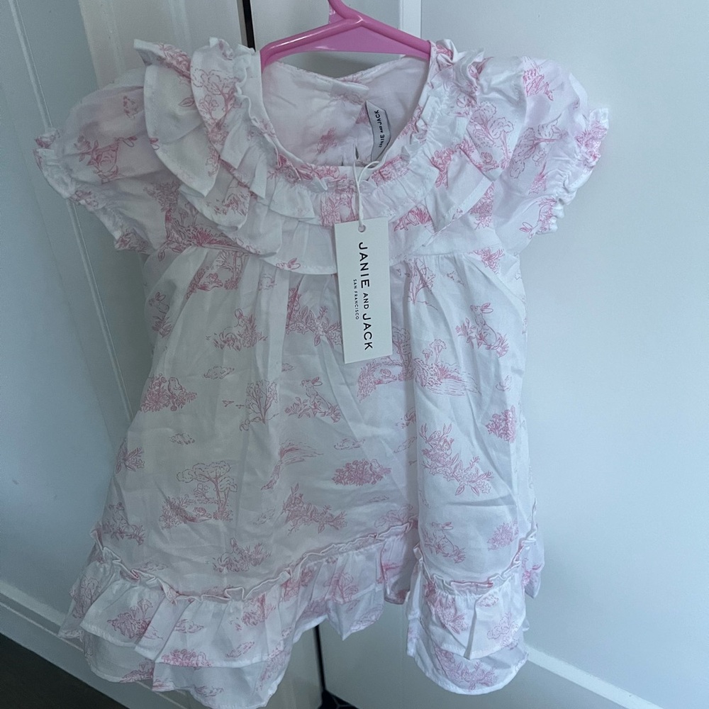 Janie and Jack White Dress with Pink Toile Print
